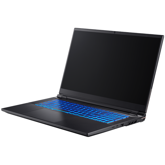 CLEVO PD70PNP1 - Portable puissant et polyvalent graphisme 3D jeux sans windows ou avec Linux - SANTIANNE